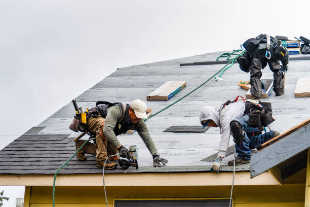 Professional Storm Damage Roof Repair technician working in Roann, IN